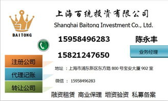 解析上海投资咨询公司转让 价格、型号规格与商务信息咨询要点